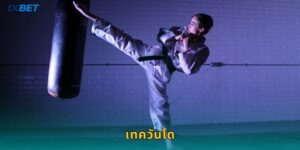 เทควันโด 1xbet แทงศิลปะการต่อสู้เกาหลีสุดเร้าใจ